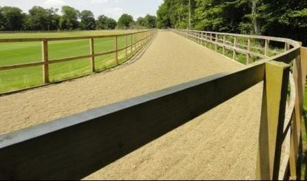 Polo training track surrounding stick and ball ground by Agrostis